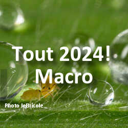 fotoduelo Tout 2024! - Macro