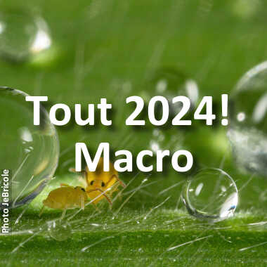 fotoduelo Tout 2024! - Macro