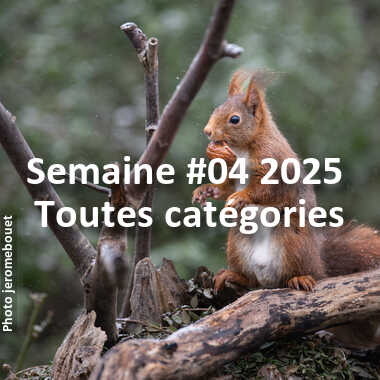 fotoduelo Semaine #04 2025 - Toutes catégories