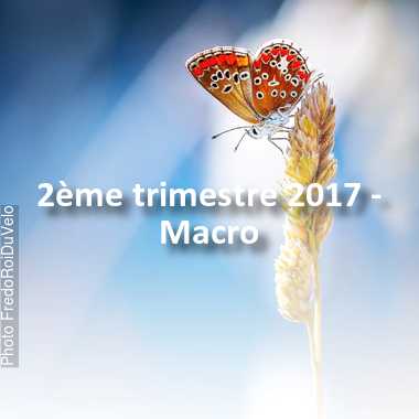 fotoduelo 2ème trimestre 2017 - Macro