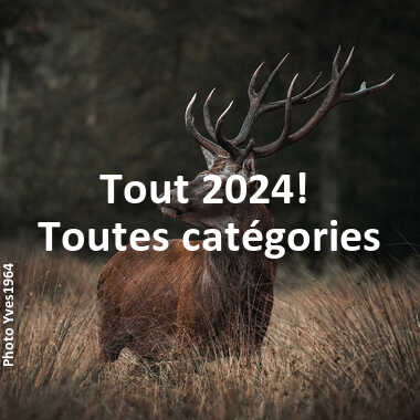 fotoduelo Tout 2024! - Toutes catégories