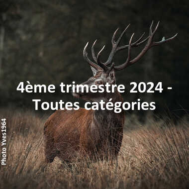 fotoduelo 4ème trimestre 2024 - Toutes catégories