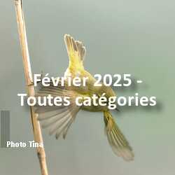 fotoduelo Février 2025 - Toutes catégories