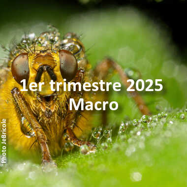 fotoduelo 1er trimestre 2025 - Macro