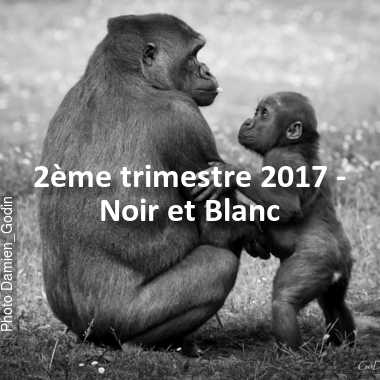fotoduelo 2ème trimestre 2017 - Noir et Blanc