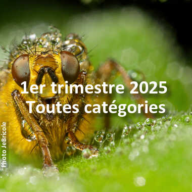 fotoduelo 1er trimestre 2025 - Toutes catégories