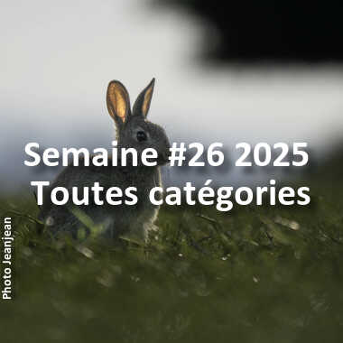 fotoduelo Semaine #26 2025 - Toutes catégories
