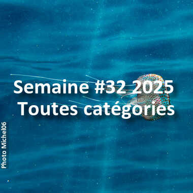fotoduelo Semaine #32 2025 - Toutes catégories