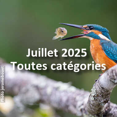 fotoduelo Juillet 2025 - Toutes catégories