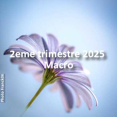 fotoduelo 2eme trimestre 2025 - Macro