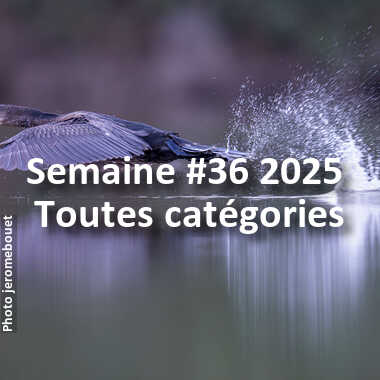 fotoduelo Semaine #36 2025 - Toutes catégories