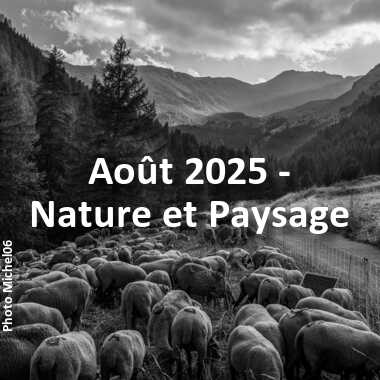 fotoduelo Août 2025 - Nature et Paysage
