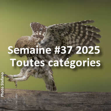 fotoduelo Semaine #37 2025 - Toutes catégories