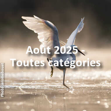 fotoduelo Août 2025 - Toutes catégories