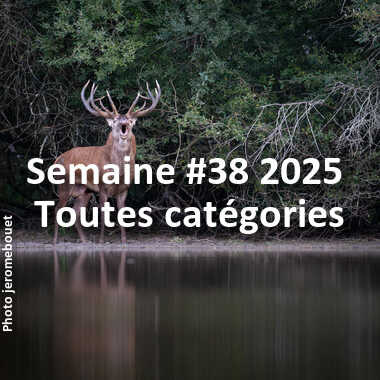 fotoduelo Semaine #38 2025 - Toutes catégories