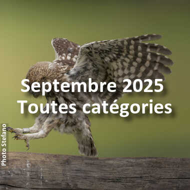 fotoduelo Septembre 2025 - Toutes catégories
