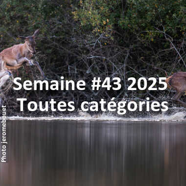 fotoduelo Semaine #43 2025 - Toutes catégories