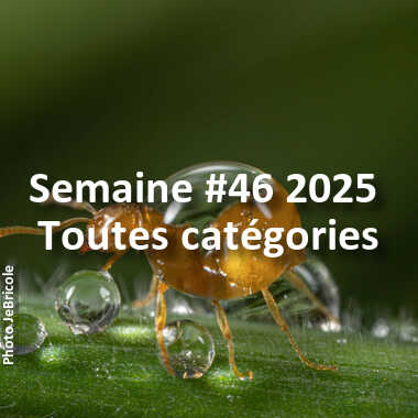 fotoduelo Semaine #46 2025 - Toutes catégories