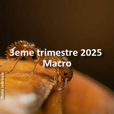 fotoduelo 3eme trimestre 2025 - Macro