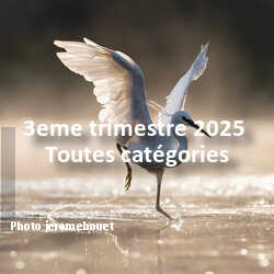 fotoduelo 3eme trimestre 2025 - Toutes catégories
