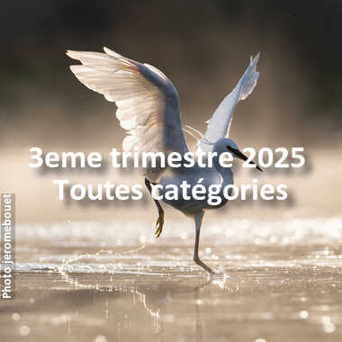 fotoduelo 3eme trimestre 2025 - Toutes catégories