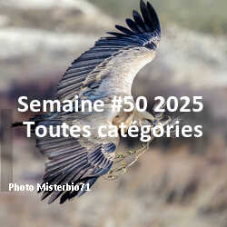 fotoduelo Semaine #50 2025 - Toutes catégories