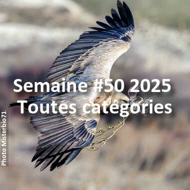 fotoduelo Semaine #50 2025 - Toutes catégories