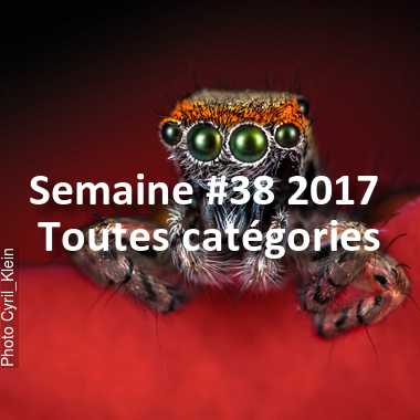 fotoduelo Semaine #38 2017 - Toutes catégories