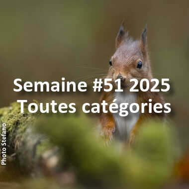 fotoduelo Semaine #51 2025 - Toutes catégories