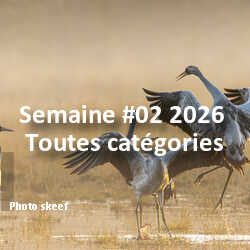 fotoduelo Semaine #02 2026 - Toutes catégories