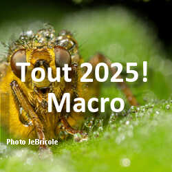 fotoduelo Tout 2025! - Macro