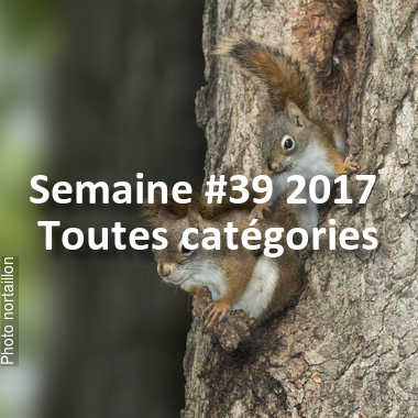 fotoduelo Semaine #39 2017 - Toutes catégories