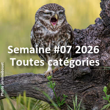 fotoduelo Semaine #07 2026 - Toutes catégories