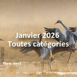 fotoduelo Janvier 2026 - Toutes catégories