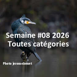 fotoduelo Semaine #08 2026 - Toutes catégories
