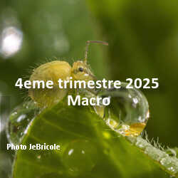 fotoduelo 4eme trimestre 2025 - Macro