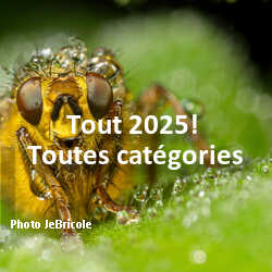 fotoduelo Tout 2025! - Toutes catégories