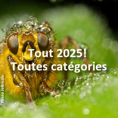 fotoduelo Tout 2025! - Toutes catégories