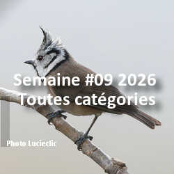 fotoduelo Semaine #09 2026 - Toutes catégories