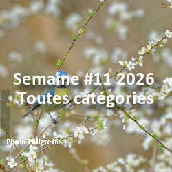 fotoduelo Semaine #11 2026 - Toutes catégories