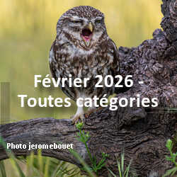 fotoduelo Février 2026 - Toutes catégories