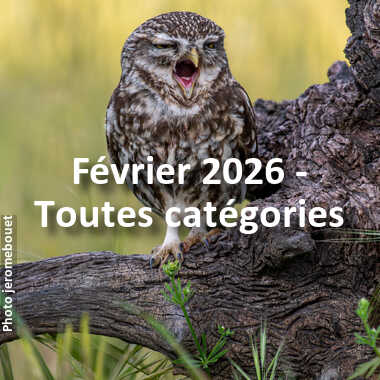 fotoduelo Février 2026 - Toutes catégories