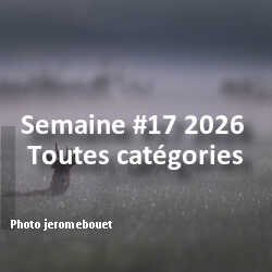 fotoduelo Semaine #17 2026 - Toutes catégories