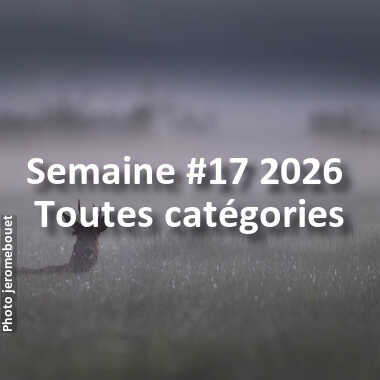 fotoduelo Semaine #17 2026 - Toutes catégories