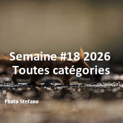 fotoduelo Semaine #18 2026 - Toutes catégories