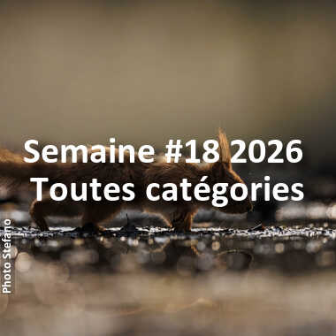 fotoduelo Semaine #18 2026 - Toutes catégories