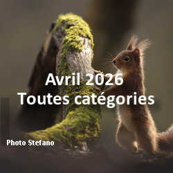 fotoduelo Avril 2026 - Toutes catégories