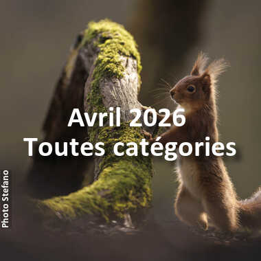 fotoduelo Avril 2026 - Toutes catégories
