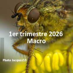 fotoduelo 1er trimestre 2026 - Macro