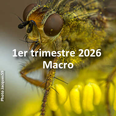 fotoduelo 1er trimestre 2026 - Macro